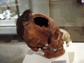 paracas-history-museum-016