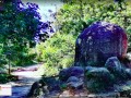 PIEDRAS-DONAMA-02