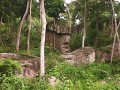 Amazonas