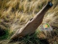 Menhires-Sierra-Ventana-04