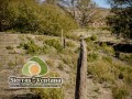 Menhires-Sierra-Ventana-033