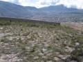 Catequilla-05