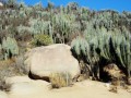 Del-Encanto-021