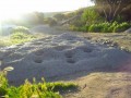 Del-Encanto-015