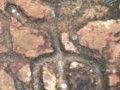 Petroglifo-El-Mestizo-0018