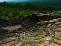 Petroglifo-El-Mestizo-0010