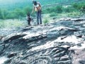 Petroglifo-El-Mestizo-0011