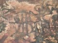 Petroglifo-El-Mestizo-0017