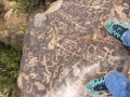Diaguita-Petroglyphs-Paidahuen-08