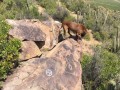 Diaguita-Petroglyphs-Paidahuen-09