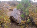 Diaguita-Petroglyphs-Paidahuen-02