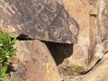 Diaguita-Petroglyphs-Paidahuen-07