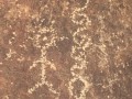 Diaguita-Petroglyphs-Paidahuen-010