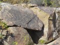 Diaguita-Petroglyphs-Paidahuen-012
