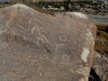 Diaguita-Petroglyphs-Paidahuen-04