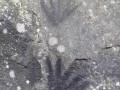 6799029230