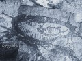 23423-42304-230403
