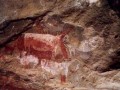 Figuras-de-guanacos-en-El-Ceibo