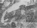 El-Ceibo-09