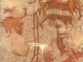 unnamed