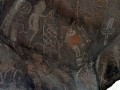 457457003-46053
