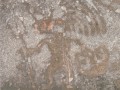 34034942-4954