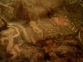 80567806005-64