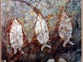 Cueva del Cerro Gavilan