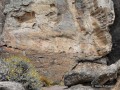el-calafate-walichu-peintures-rupestres-tehuelche-28