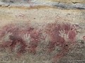 el-calafate-walichu-peintures-rupestres-tehuelche-56