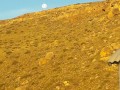 34503459-5934