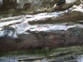 Gruta-Morrocoyes-011