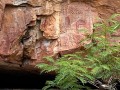 pinturas-del-parque-ecorrupestre