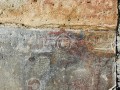 carpa