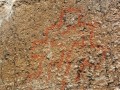 cavernas-de-mataral-Grande -_Pinturas rupestres de Porco - En Chaquilla