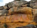 Guanes Mesa de los Santos