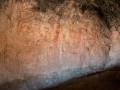 IMG_2111