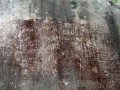 7791-10022