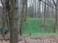 1174