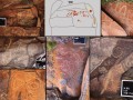 Otros-motivos-asociados-a-huellas-de-animales-en-la-meseta-del-Strobel