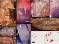 Variedad-de-pisadas-animales-y-otros-motivos-asociados-en-la-meseta-del-Strobel