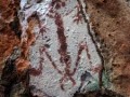 2342402-5335