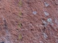 PinturasenTresCruces (241)