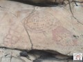 12000-3203