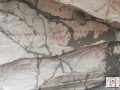 1000-21093232