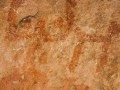 Qayaqpuma 19