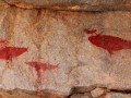 descubren-unas-curiosas-pinturas-rupestres-en-el-desierto-de-atacama-2