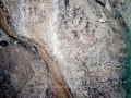 331-10291201