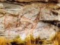 53593035-353