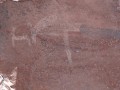 2012 11 Chicoana Humahuaca (1376)